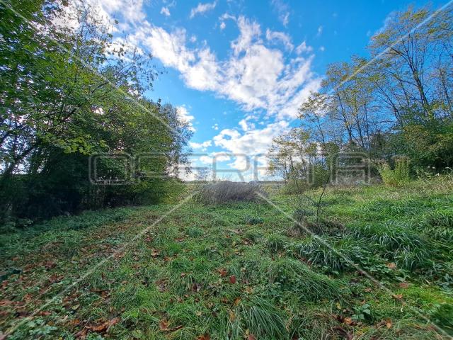 Hrebine , Hrebine, 2.877,00 m2, 39.000,00 EUR