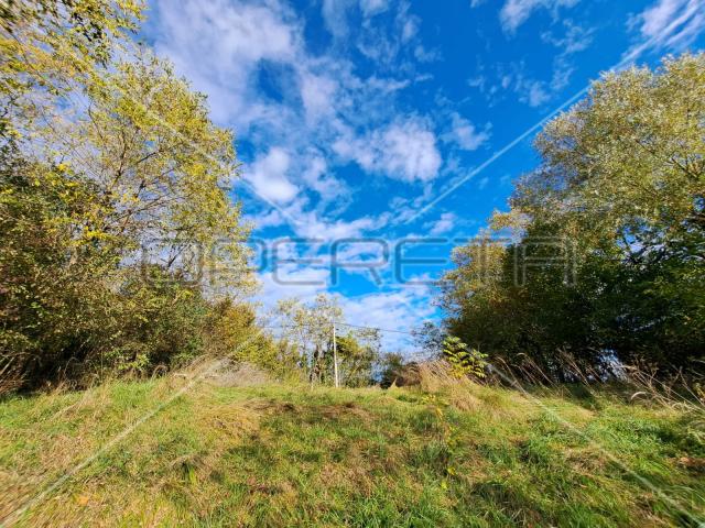 Hrebine , Hrebine, 2.877,00 m2, 39.000,00 EUR
