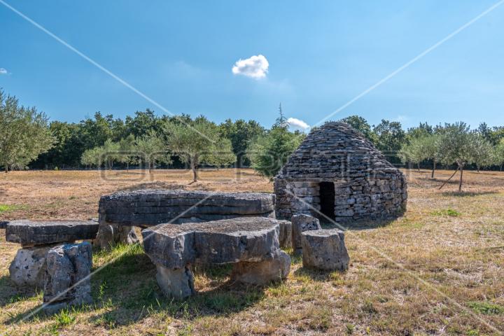 Predivan maslinik blizu Peroja s pogledom na more i vodom, potencijal za OPG i t
