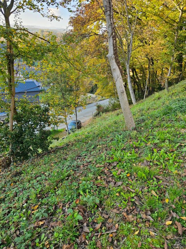 Štefanovec, Markuševec, 3.861,00 m2, 295.000,00 EUR