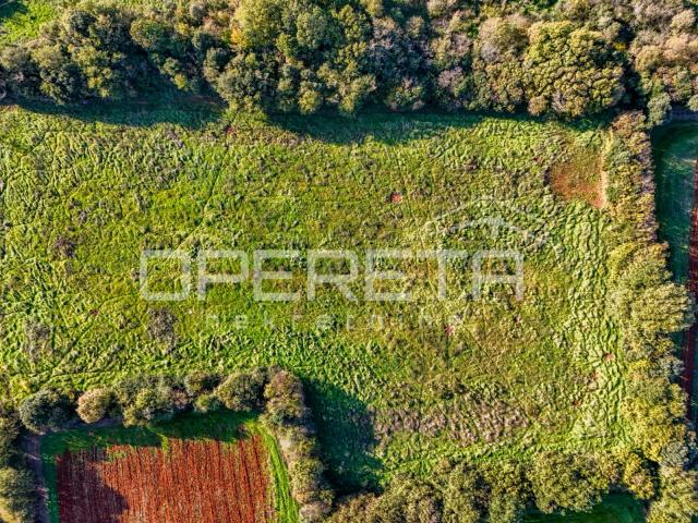 Investicija, Šišan poljoprivredno zemljište na više čestica ukupno 12.824 m2