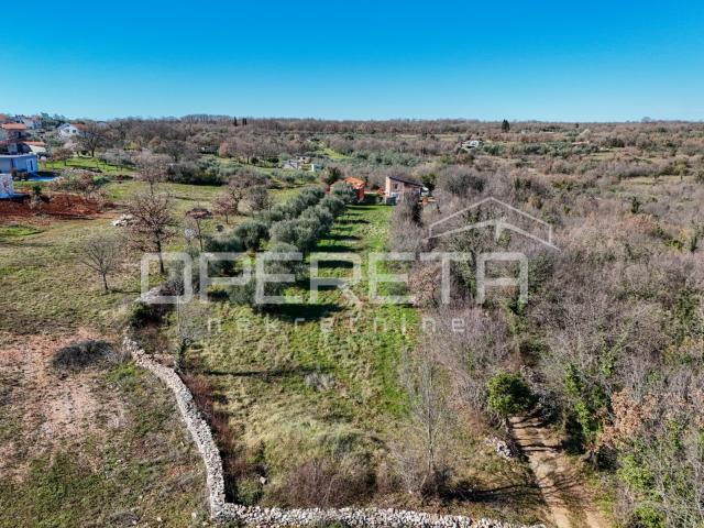 Peruški, Peruški, 3.198,00 m2, 250.000,00 EUR
