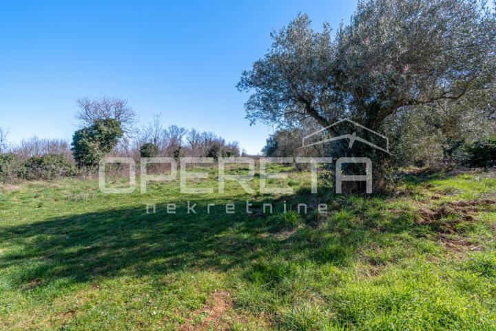 Peruški, Peruški, 3.198,00 m2, 250.000,00 EUR