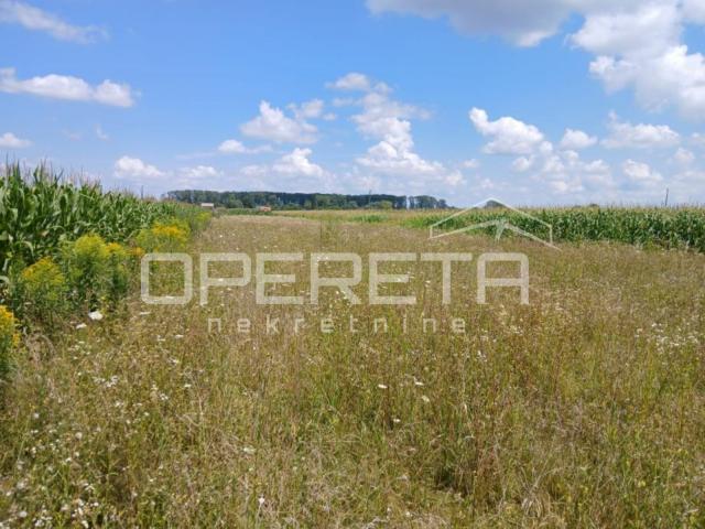 Bukevje, Bukevje, 3.200,00 m2, 60.000,00 EUR