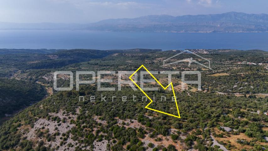 Poljoprivredno zemljište u srce otoka, 29.000m2, Škrip, Brač

