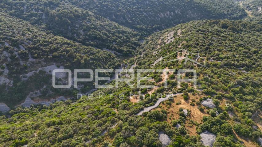 Poljoprivredno zemljište u srce otoka, 29.000m2, Škrip, Brač

