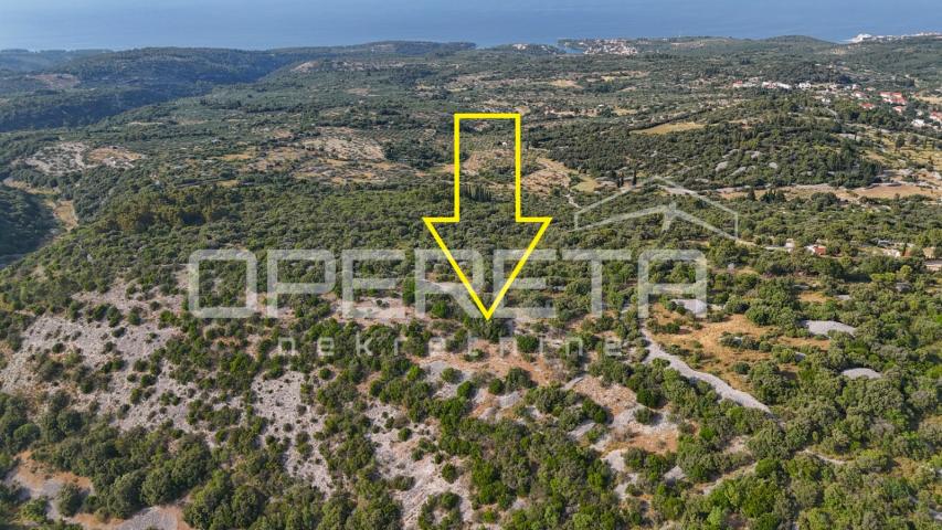Poljoprivredno zemljište u srce otoka, 29.000m2, Škrip, Brač

