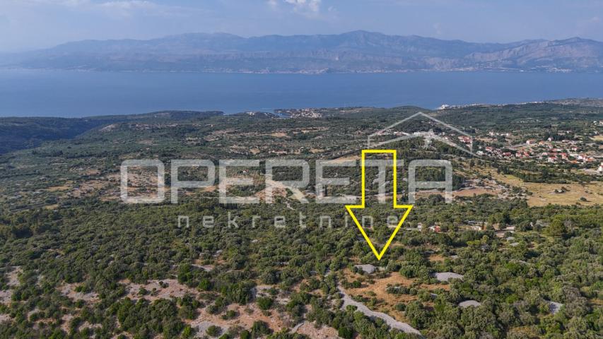 Poljoprivredno zemljište u srce otoka, 29.000m2, Škrip, Brač

