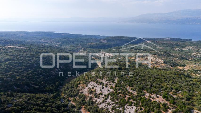 Poljoprivredno zemljište u srce otoka, 29.000m2, Škrip, Brač

