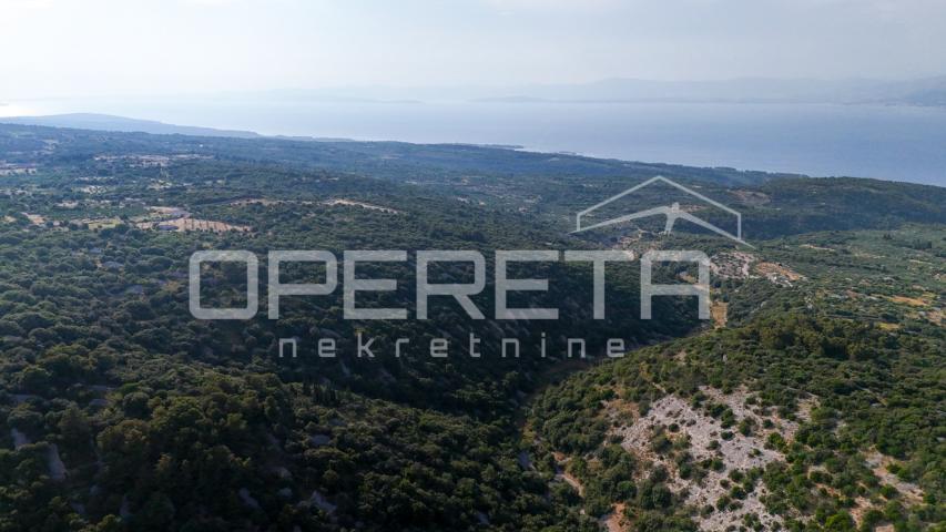 Poljoprivredno zemljište u srce otoka, 29.000m2, Škrip, Brač

