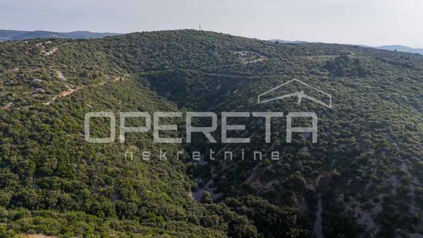 Poljoprivredno zemljište u srce otoka, 29.000m2, Škrip, Brač

