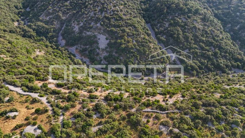 Poljoprivredno zemljište u srce otoka, 29.000m2, Škrip, Brač


