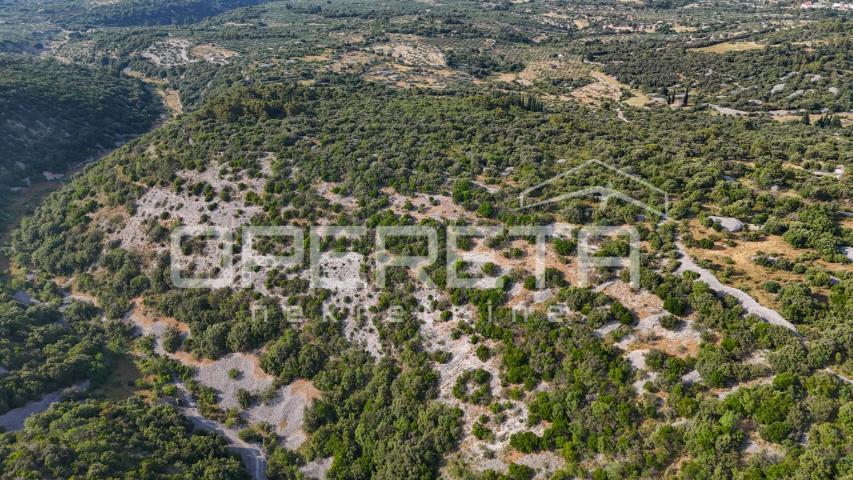 Poljoprivredno zemljište u srce otoka, 29.000m2, Škrip, Brač

