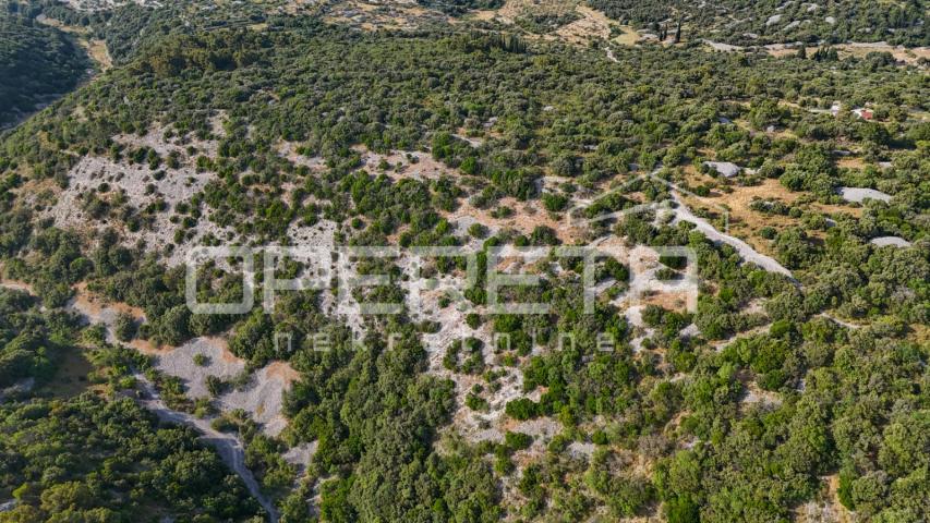 Poljoprivredno zemljište u srce otoka, 29.000m2, Škrip, Brač

