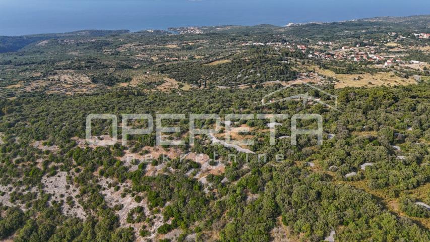 Poljoprivredno zemljište u srce otoka, 29.000m2, Škrip, Brač

