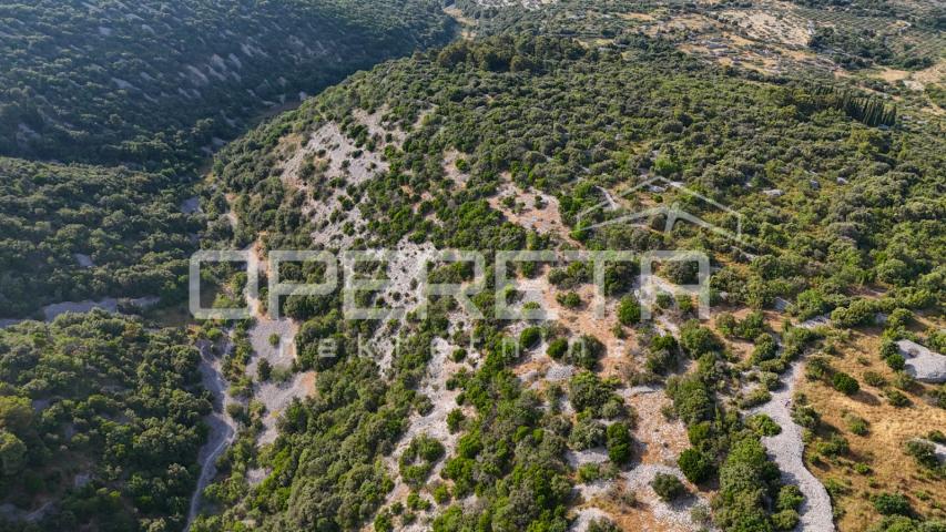Poljoprivredno zemljište u srce otoka, 29.000m2, Škrip, Brač

