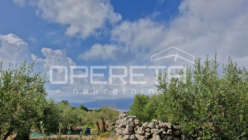 PRODAJA MASLINIKA S POGLEDOM NA MORE – IDEALNO ZA INVESTICIJU I ODRŽIVI TURIZAM
