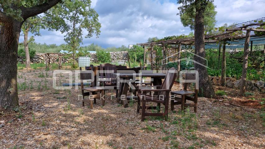 PRODAJA MASLINIKA S POGLEDOM NA MORE – IDEALNO ZA INVESTICIJU I ODRŽIVI TURIZAM
