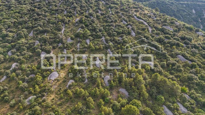 Prostrano poljoprivredno zemljište, 14.027 m2 s pogledom i uz pristupni put, Škr