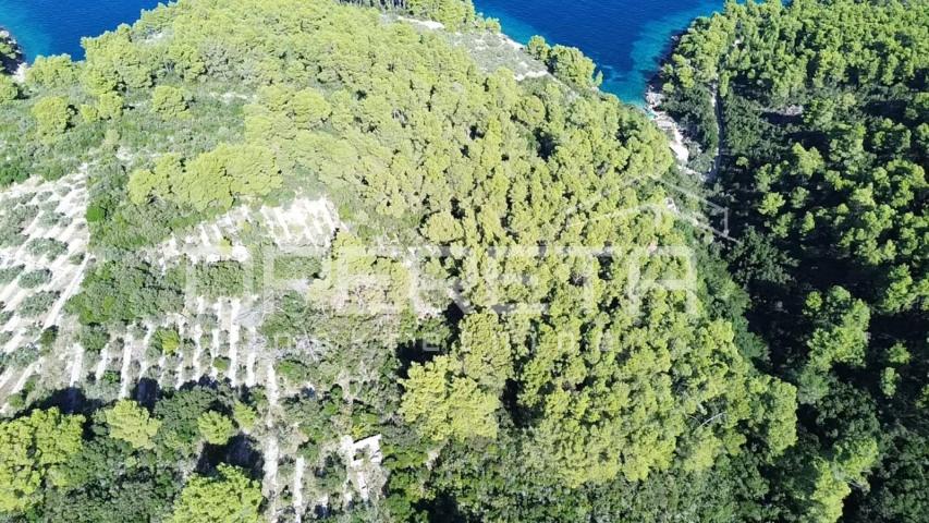 Poljoprivredno zemljiste s kućicom, nedaleko od mora, Vela Luka
