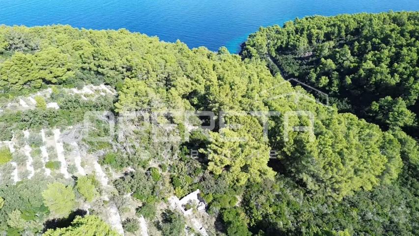 Poljoprivredno zemljiste s kućicom, nedaleko od mora, Vela Luka