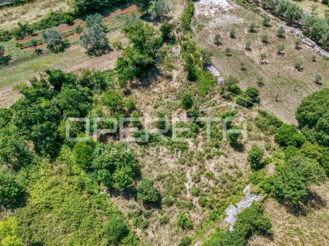 Kavran, Kavran, 1.325,00 m2, 210.000,00 EUR