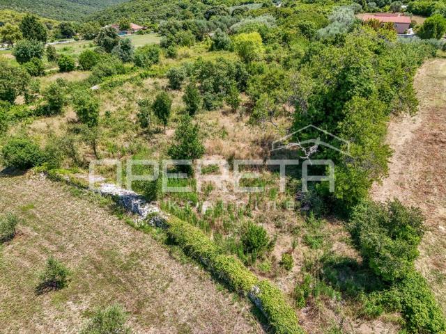 Kavran, Kavran, 1.325,00 m2, 210.000,00 EUR