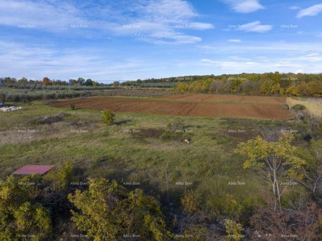 Građevinsko zemljište Poreč – 4 građevinske parcele (800–900 m²) na mirnoj lokaciji