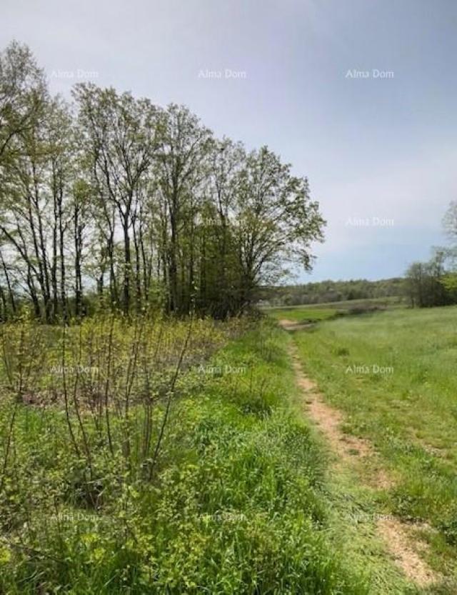 Građevinsko zemljište PRODAJE SE GRAĐEVINSKO ZEMLJIŠTE S PROJEKTOM – Barban (1.010 m²)