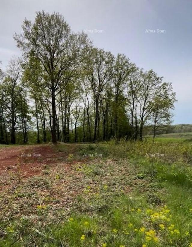 Građevinsko zemljište PRODAJE SE GRAĐEVINSKO ZEMLJIŠTE S PROJEKTOM – Barban (1.010 m²)