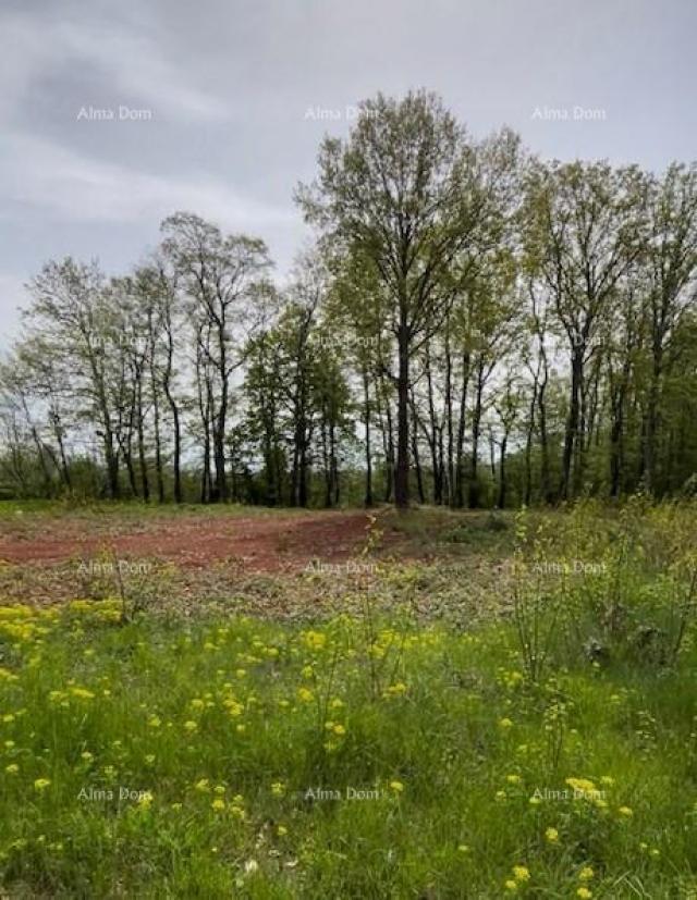 Građevinsko zemljište PRODAJE SE GRAĐEVINSKO ZEMLJIŠTE S PROJEKTOM – Barban (1.010 m²)