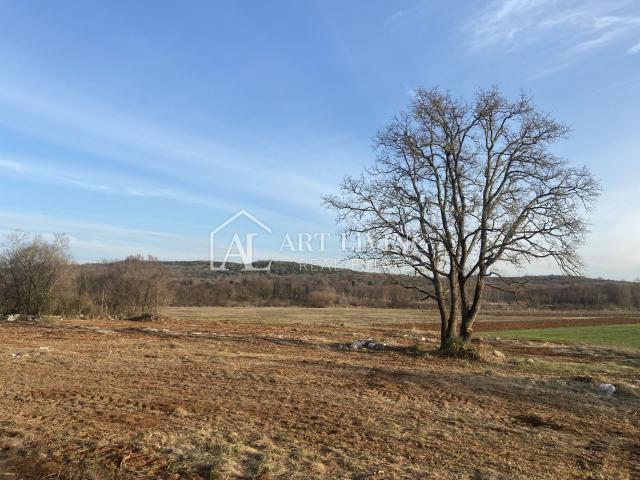 Istra- Bale, Iznimno vrijedno poljoprivredno zemljište 11,200 m2