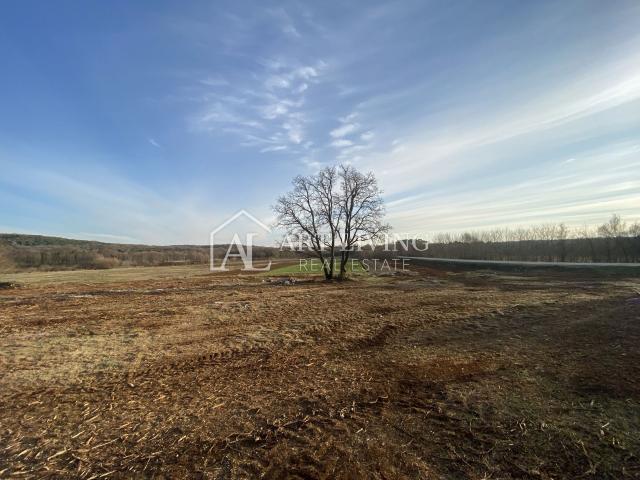 Istra- Bale, Iznimno vrijedno poljoprivredno zemljište 11,200 m2
