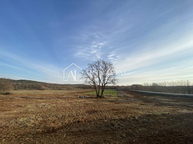 Istra- Bale, Iznimno vrijedno poljoprivredno zemljište 11,200 m2