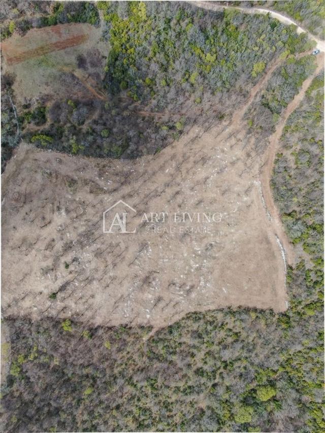 Bale- vrijedno poljoprivredno zemljište 22.821 m2, 4 km od mora