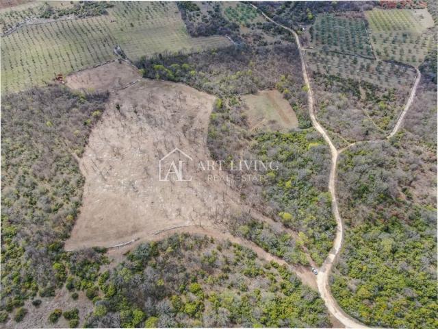 Bale- vrijedno poljoprivredno zemljište 22.821 m2, 4 km od mora