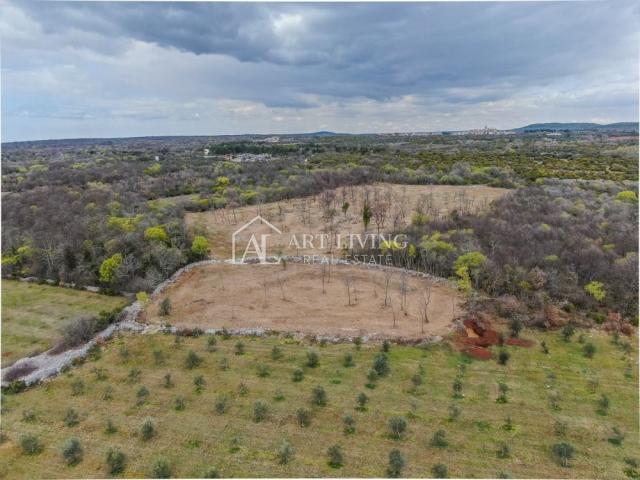 Bale- vrijedno poljoprivredno zemljište 22.821 m2, 4 km od mora