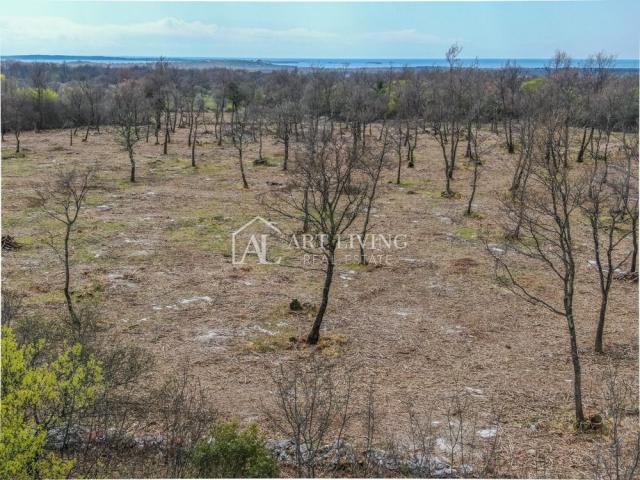 Bale- vrijedno poljoprivredno zemljište 22.821 m2, 4 km od mora