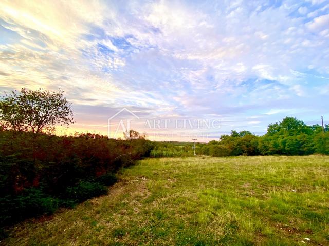 Umag-surroundings, agricultural land 1036 m2 in a nice location