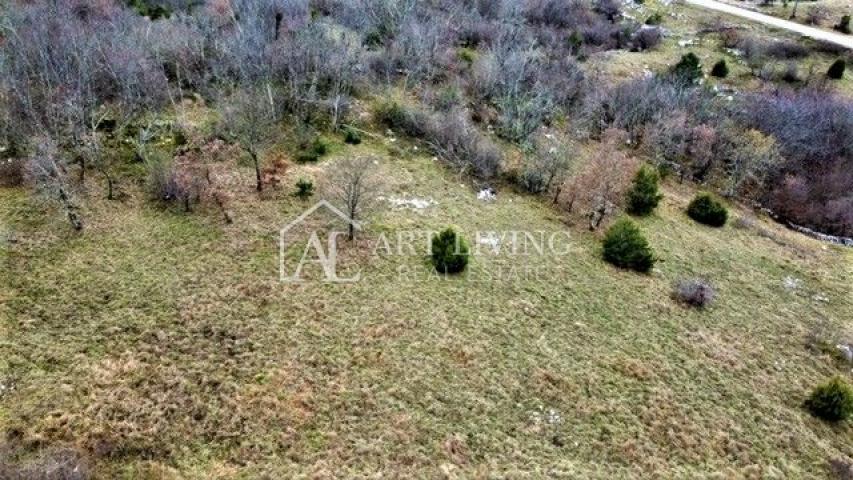 Oprtalj, lijepo poljoprivredno zemljište 10 200 m2
