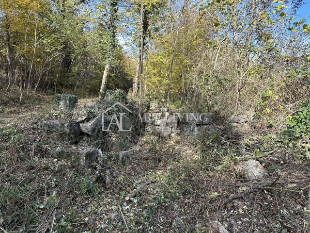 Istra, Buje, okolica - poljoprivredno zemljište 20.000 m2 sa ucrtanim objektom