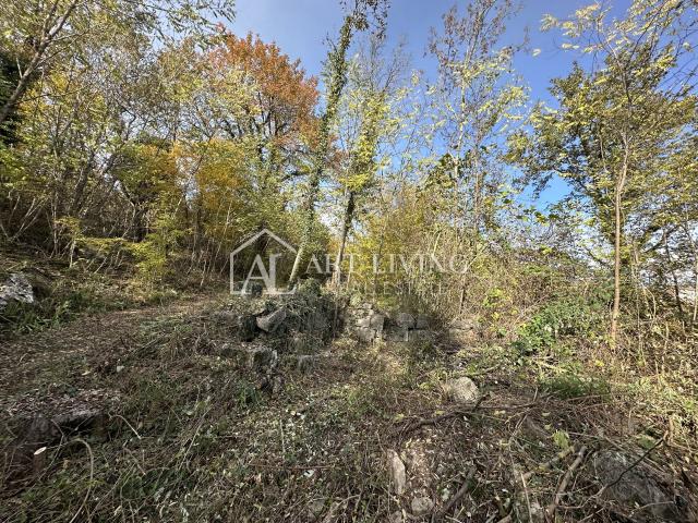 Istra, Buje, okolica - poljoprivredno zemljište 20.000 m2 sa ucrtanim objektom