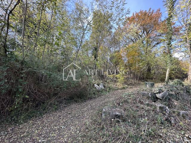 Istra, Buje, okolica - poljoprivredno zemljište 20.000 m2 sa ucrtanim objektom