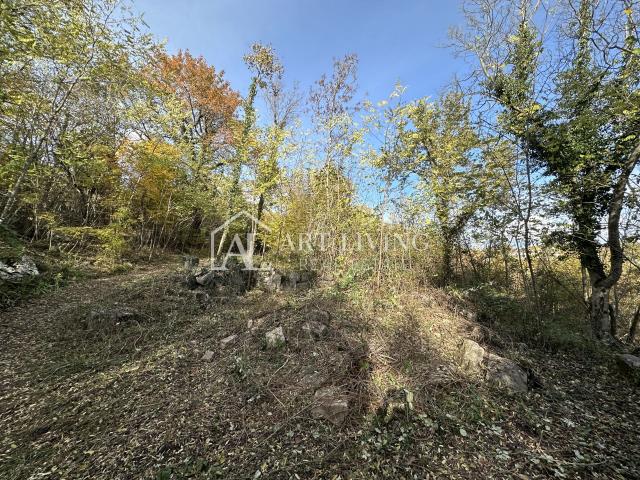 Istra, Buje, okolica - poljoprivredno zemljište 20.000 m2 sa ucrtanim objektom