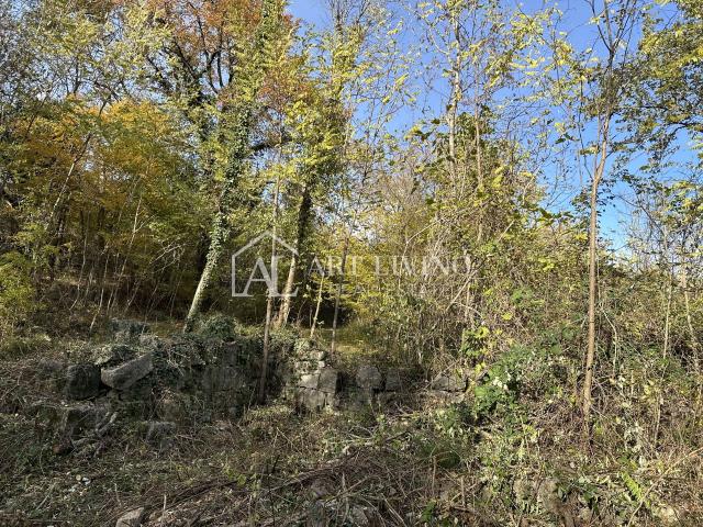 Istra, Buje, okolica - poljoprivredno zemljište 20.000 m2 sa ucrtanim objektom