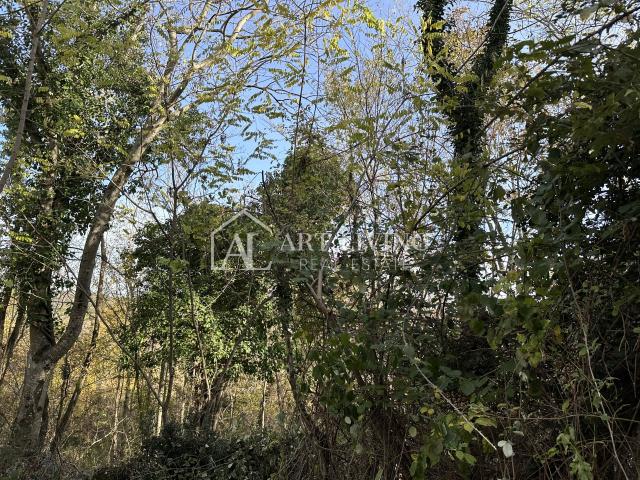 Istra, Buje, okolica - poljoprivredno zemljište 20.000 m2 sa ucrtanim objektom