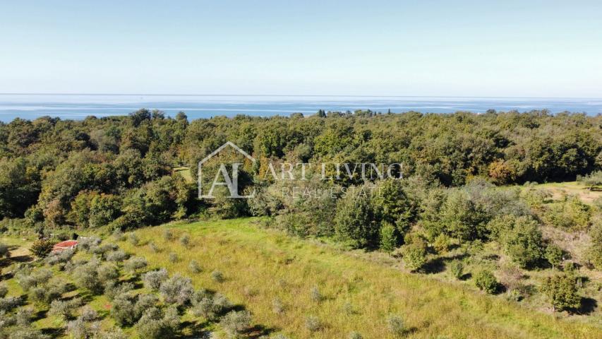 Umag, okolica  – penthouse sa 2 spavaće sobe, zajednički bazen, pogled more
