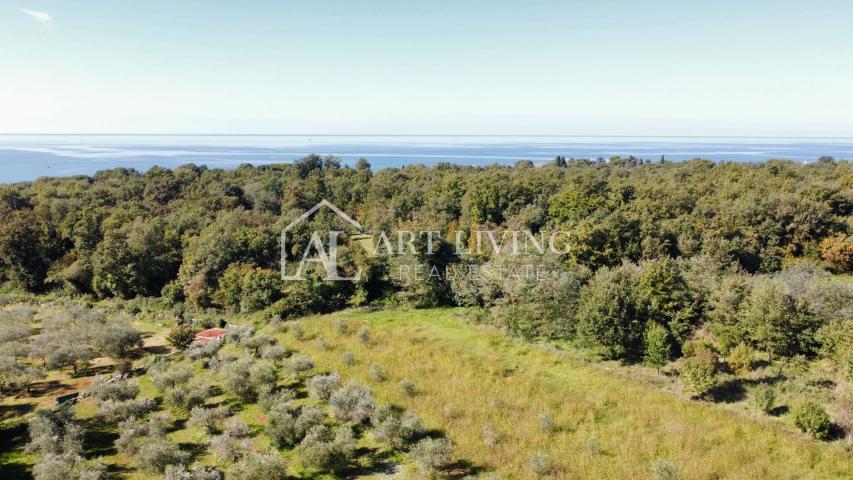 Umag, okolica  – penthouse sa 2 spavaće sobe, zajednički bazen, pogled more
