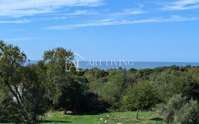 Poreč, moderna luksuzna vila s bazenom udaljena 500 m od mora