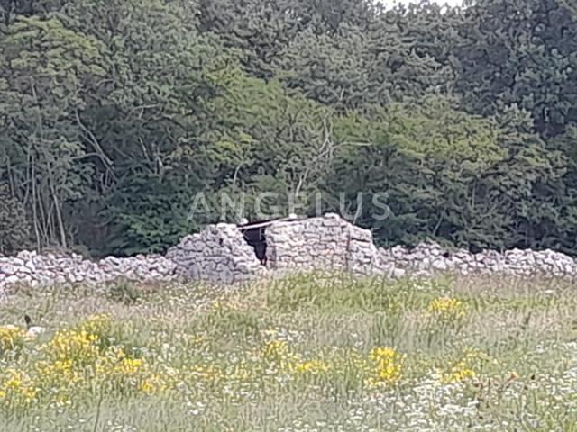 Istra, Rovinj - Više poljoprivrednih zemljišta